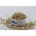 In Stock Dried Chinese Radix Astragalus Sarcocolla